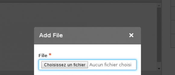 Drupal – Editor File upload