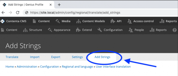 Drupal – String Translation UI